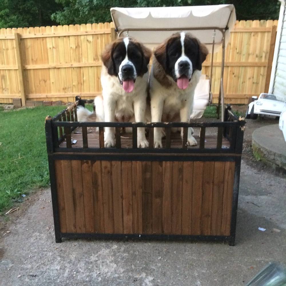 Meet your Posher, Annette